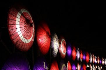 国営昭和記念公園 秋の夜散歩に投稿された画像（2024/12/9）