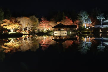 国営昭和記念公園 秋の夜散歩に投稿された画像（2024/12/9）