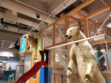 国立科学博物館に投稿された画像（2024/12/9）