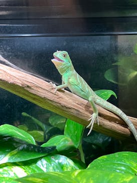 体感型動物園iZooに投稿された画像（2024/12/9）