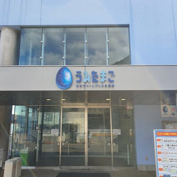 大分マリーンパレス水族館 「うみたまご」に投稿された画像（2024/12/9）