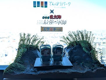 サンシャイン60展望台に投稿された画像（2024/12/9）