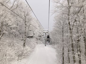 阿仁スキー場に投稿された画像（2024/12/9）