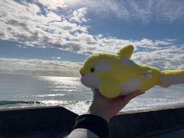 鴨川シーワールドに投稿された画像（2024/12/9）