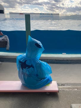 鴨川シーワールドに投稿された画像（2024/12/9）