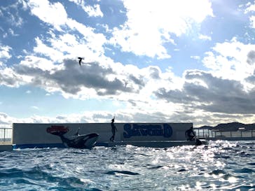 鴨川シーワールドに投稿された画像（2024/12/9）