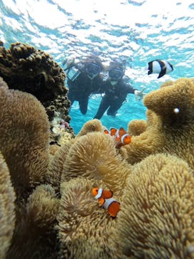 オースリーシュノーケル宮古島に投稿された画像（2024/12/9）