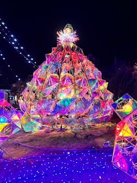 江の島シーキャンドルに投稿された画像（2024/12/9）