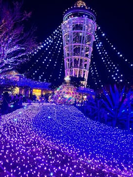 江の島シーキャンドルに投稿された画像（2024/12/9）