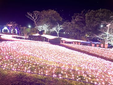 江の島シーキャンドルに投稿された画像（2024/12/9）