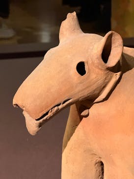 挂甲の武人 国宝指定50周年記念 特別展「はにわ」@東京国立博物館 平成館に投稿された画像（2024/12/9）