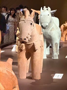 挂甲の武人 国宝指定50周年記念 特別展「はにわ」@東京国立博物館 平成館に投稿された画像（2024/12/9）