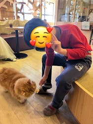 猫カフェモカ　池袋本店に投稿された画像（2024/12/9）