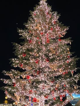 Christmas Market in 横浜赤レンガ倉庫 2025に投稿された画像（2024/12/9）