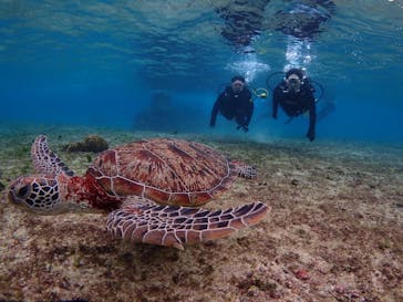 FIVE☆STAGE（ファイブステージ）に投稿された画像（2024/12/9）