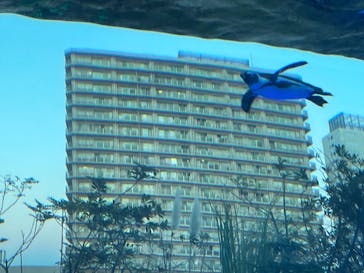 サンシャイン水族館に投稿された画像（2024/12/9）