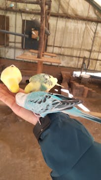 ダチョウ王国石岡ファームに投稿された画像（2024/12/9）