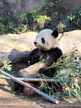 恩賜上野動物園に投稿された画像（2024/12/9）
