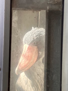 恩賜上野動物園に投稿された画像（2024/12/9）