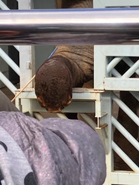 恩賜上野動物園に投稿された画像（2024/12/9）