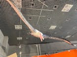 特別展「鳥 ～ゲノム解析が解き明かす新しい鳥類の系統～」国立科学博物館に投稿された画像（2024/12/9）