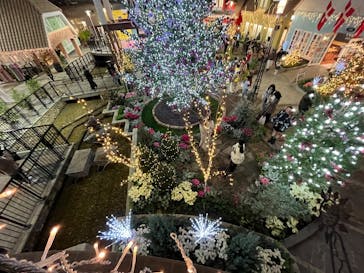 安城産業文化公園デンパークに投稿された画像（2024/12/9）