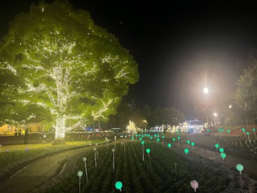 安城産業文化公園デンパークに投稿された画像（2024/12/9）