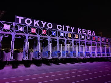 東京メガイルミに投稿された画像（2024/12/9）