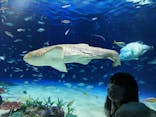 サンシャイン水族館に投稿された画像（2024/12/9）