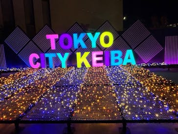 東京メガイルミに投稿された画像（2024/12/9）