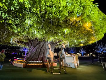 東京メガイルミに投稿された画像（2024/12/9）