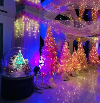 梅田スカイビル・空中庭園展望台に投稿された画像（2024/12/9）