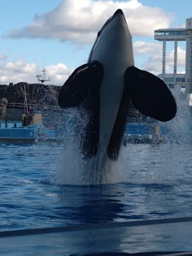 名古屋港水族館に投稿された画像（2024/12/9）