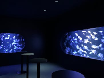 AOAO SAPPOROに投稿された画像（2024/12/9）