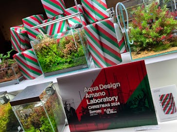 AOAO SAPPOROに投稿された画像（2024/12/9）