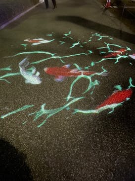 姫路城ライトアップイベント　鏡花水月　@姫路城三の丸広場に投稿された画像（2024/12/9）