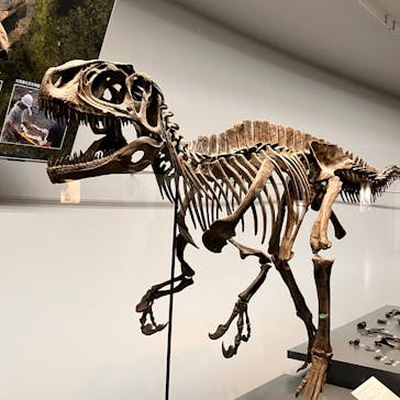 福井県立恐竜博物館に投稿された画像（2024/12/9）