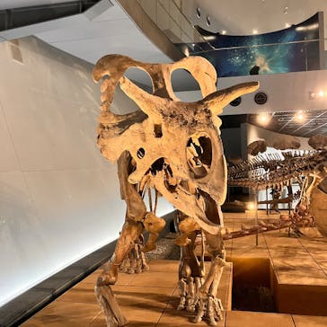 福井県立恐竜博物館に投稿された画像（2024/12/9）