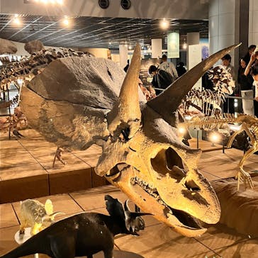 福井県立恐竜博物館に投稿された画像（2024/12/9）