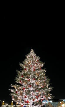 Christmas Market in 横浜赤レンガ倉庫 2025に投稿された画像（2024/12/9）