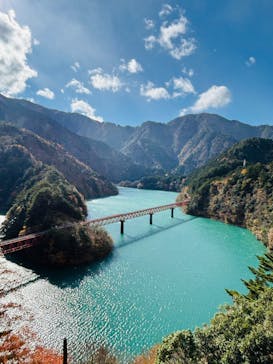 大井川鐵道株式会社に投稿された画像（2024/12/10）