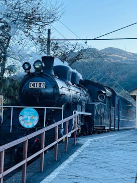 大井川鐵道株式会社に投稿された画像（2024/12/10）