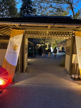 国営昭和記念公園 秋の夜散歩に投稿された画像（2024/12/10）