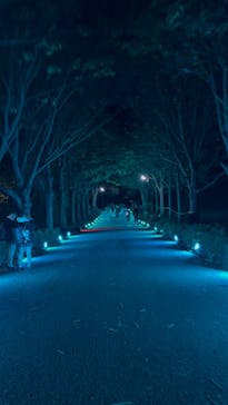 国営昭和記念公園 秋の夜散歩に投稿された画像（2024/12/10）