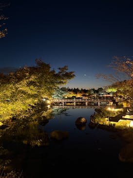 国営昭和記念公園 秋の夜散歩に投稿された画像（2024/12/10）