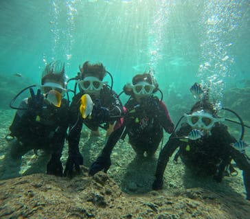 沖縄マリンサービス碧に投稿された画像（2024/12/10）