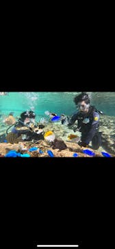 武藤潜水に投稿された画像（2024/12/10）