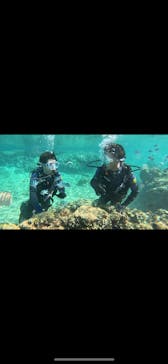 武藤潜水に投稿された画像（2024/12/10）