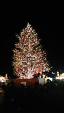 Christmas Market in 横浜赤レンガ倉庫 2025に投稿された画像（2024/12/10）