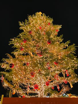 Christmas Market in 横浜赤レンガ倉庫 2025に投稿された画像（2024/12/10）